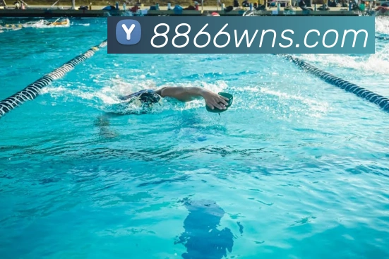 澳门威尼斯人网站发展历程